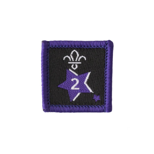 Joining in Award Badge 2