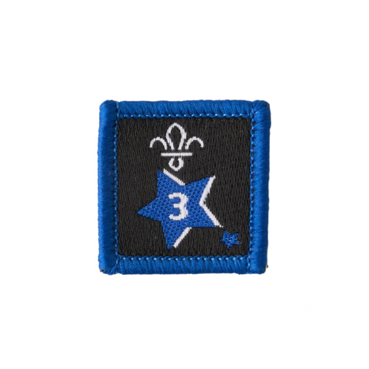 Joining in Award Badge 3