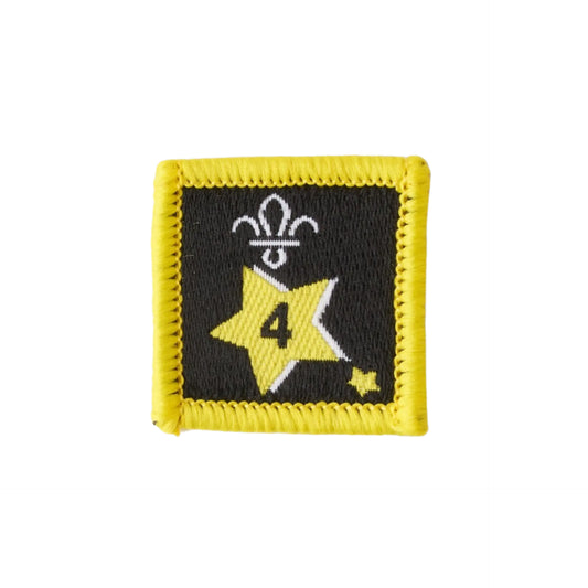 Joining in Award Badge 4