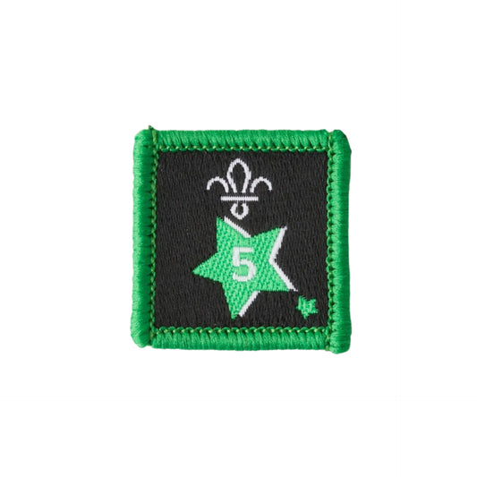 Joining in Award Badge 5