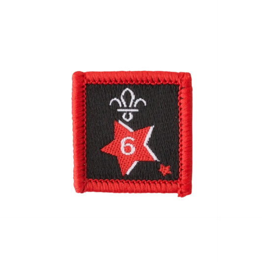Joining in Award Badge 6