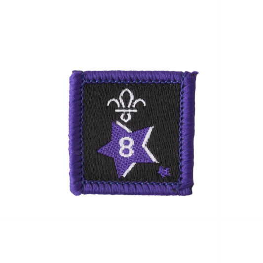 Joining in Award Badge 8