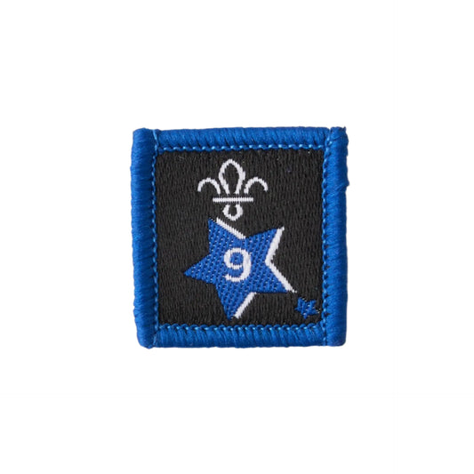 Joining in Award Badge 9