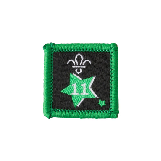 Joining in Award Badge 11
