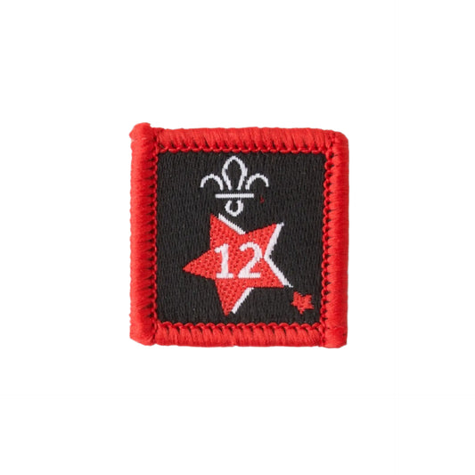 Joining in Award Badge 12