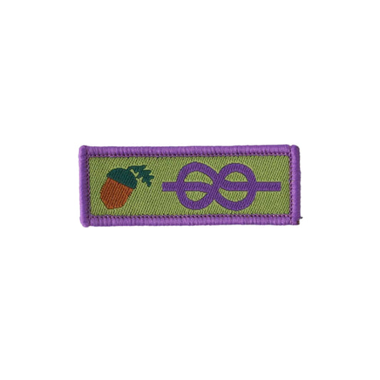 Young Leader Scheme Adult Recognition Badge