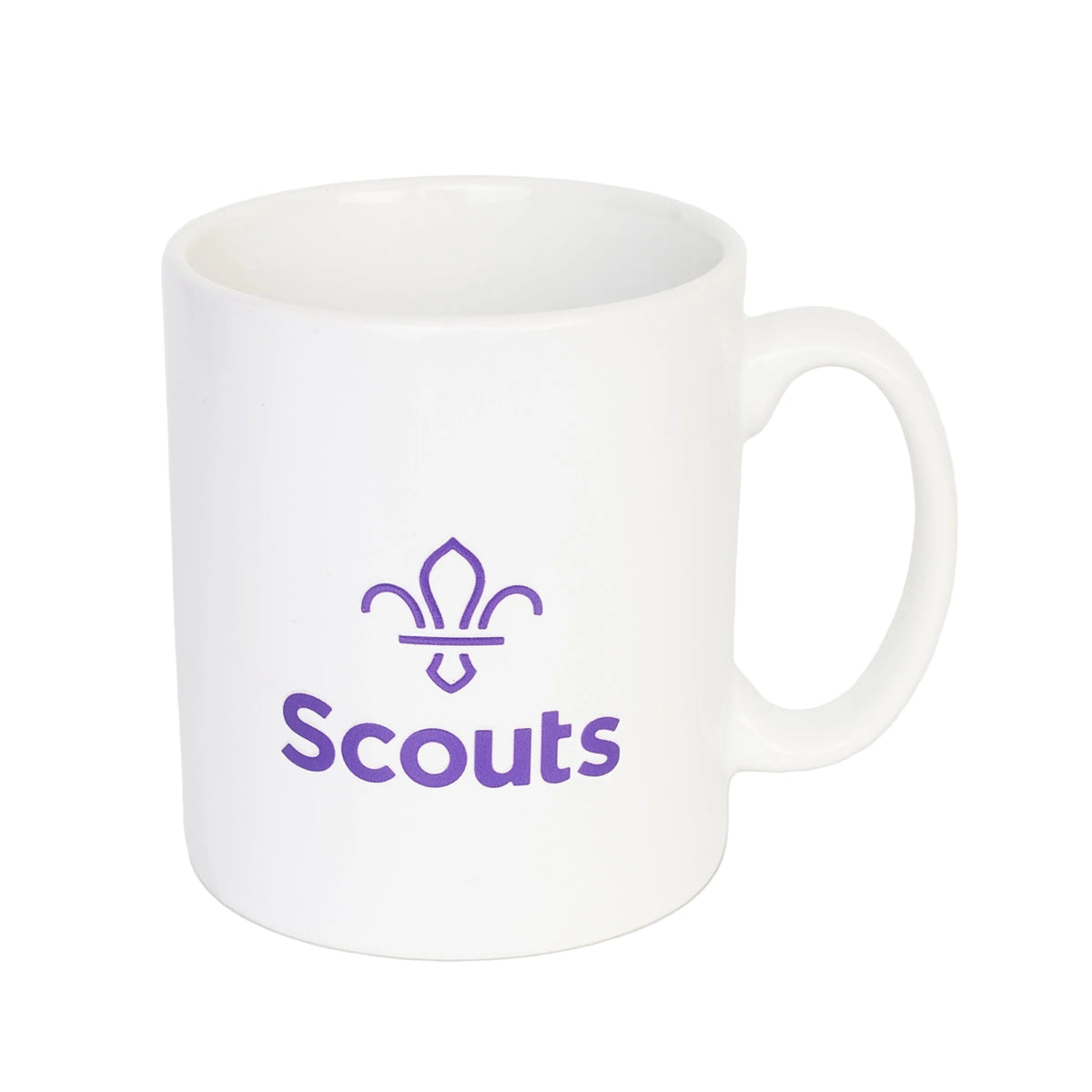 Best Scout Leader Mug