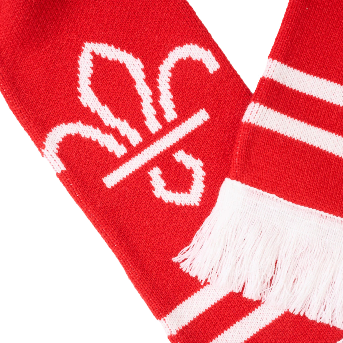 Squirrels Scarf