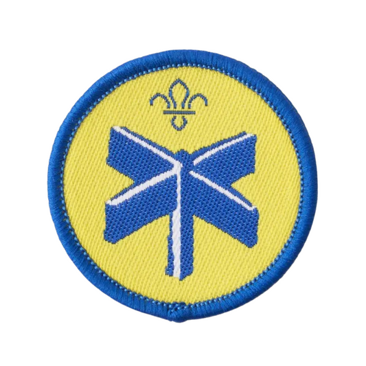 Beavers Explore Activity Badge