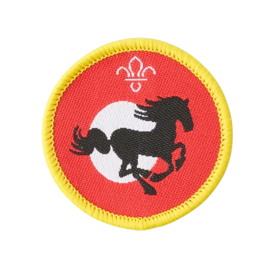 Cubs Equestrian Activity Badge - Pack of 25