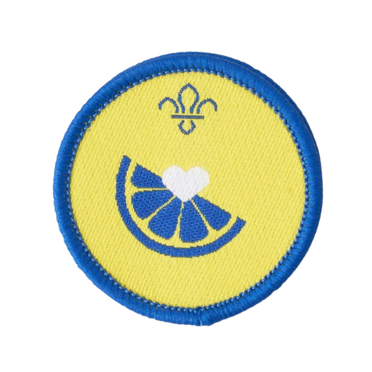 Beavers Health & Fitness Activity Badge