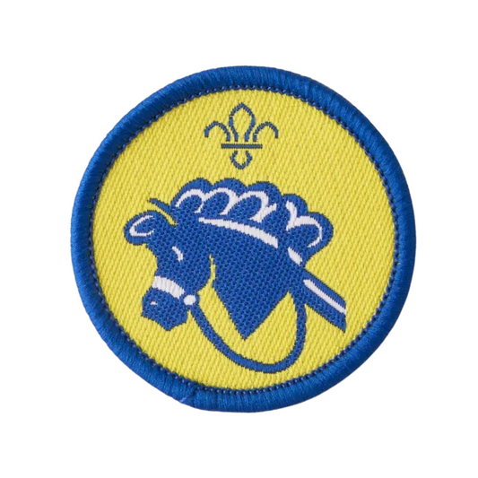 Beavers Hobbies Activity Badge - Pack of 25