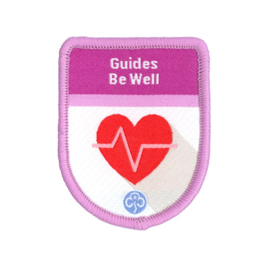 Theme award - Guides Be Well