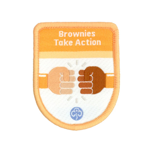 Theme award - Brownies Take Action