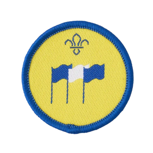 Beavers International Activity Badge