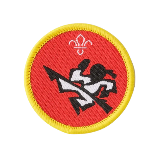 Cubs Martial Arts Activity Badge