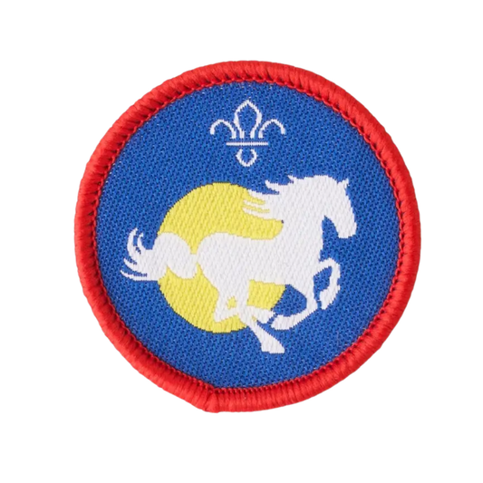 Scout Equestrian Activity Badge