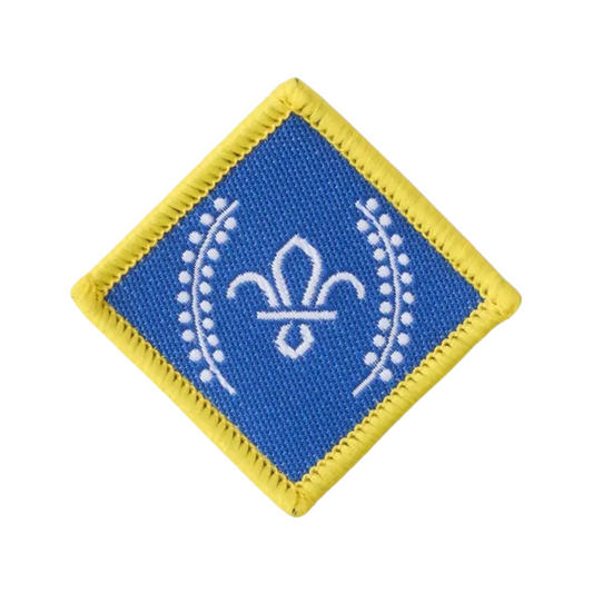 Chief Scout's Platinum Award