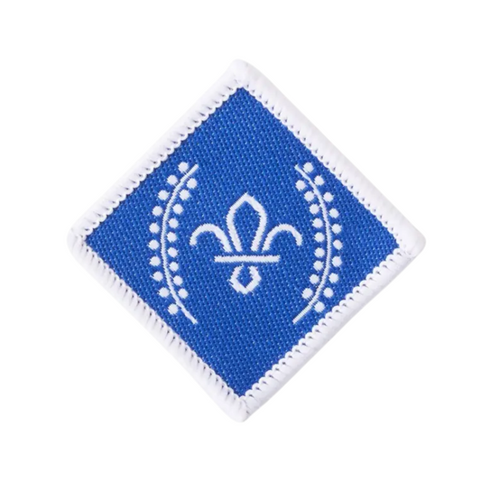 Chief Scout's Diamond Award