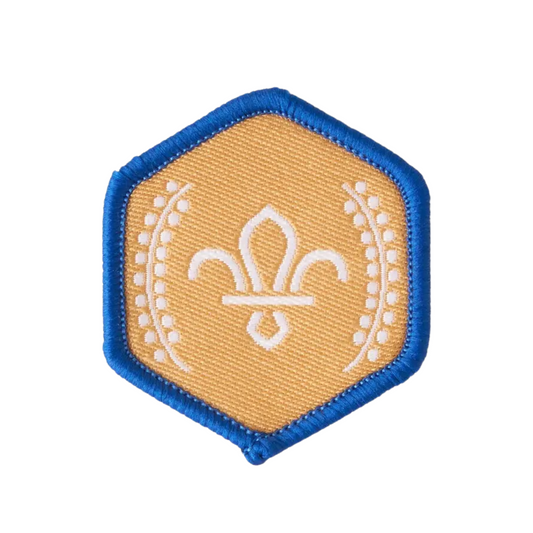 Chief Scout's Bronze Award