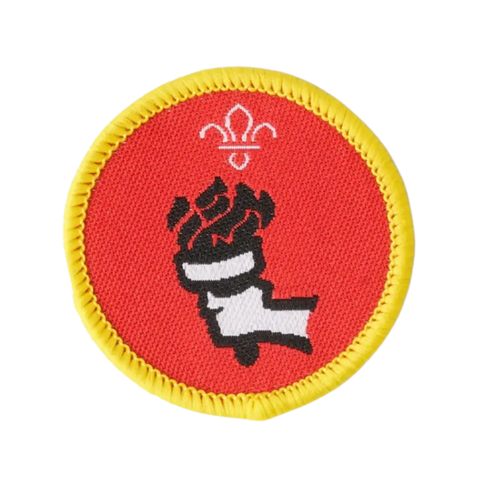 Cubs Sports Enthusiast Activity Badge - Pack of 25