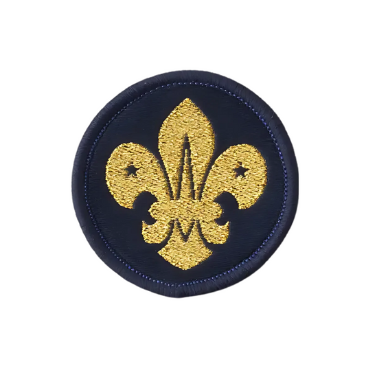 Air Scout Beret Badge