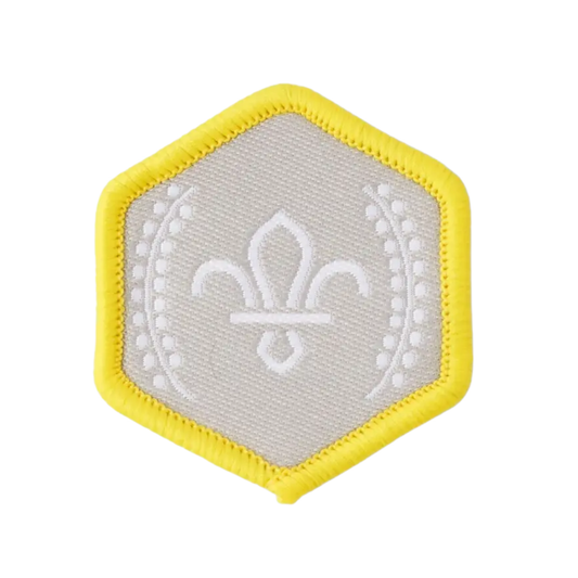 Chief Scout's Silver Award