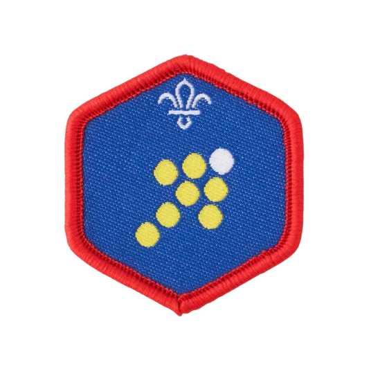 Scout Team Leader Challenge Award