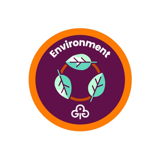 Rangers Environment woven badge