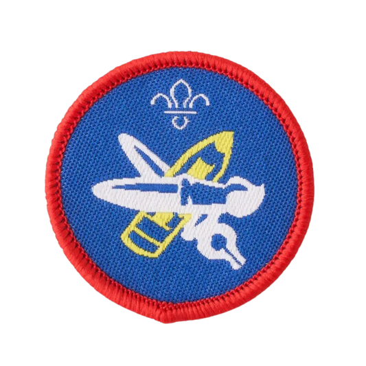 Scout Artist Activity Badge