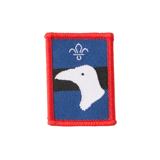 Patrol badge Raven- Pack of 25