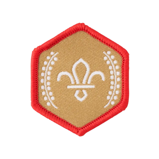 Chief Scout's Gold Award