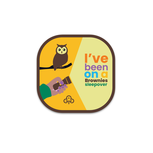 Brownies I've been on a sleepover