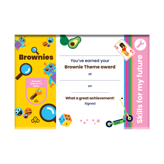 Theme award - Brownies Skills For My Future certificate