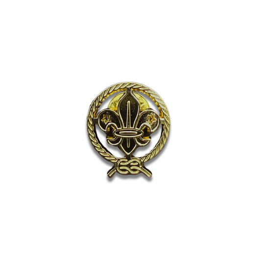 World Scout recessed pin badge