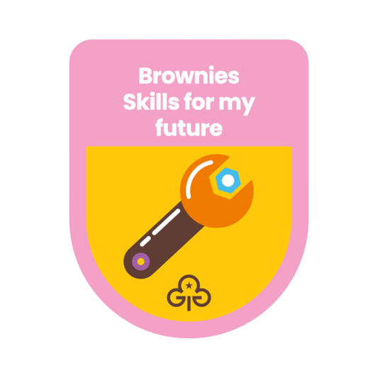 Theme award - Brownies Skills For My Future