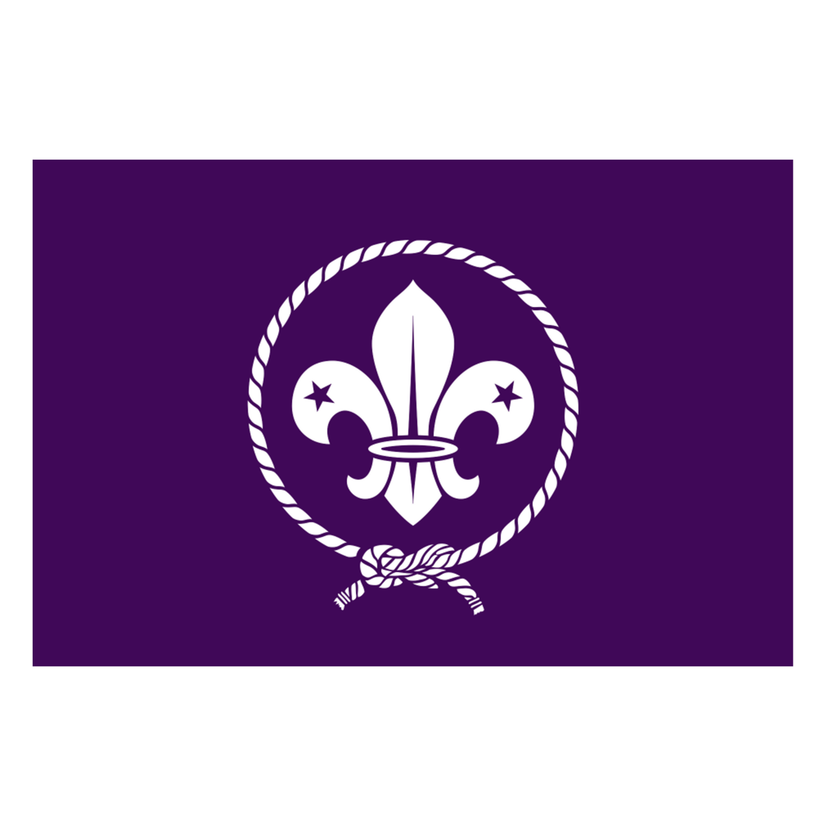 Scput Ranger Flag World Scout Flag - 180 x 300cm β The Scout And Guide Shop
