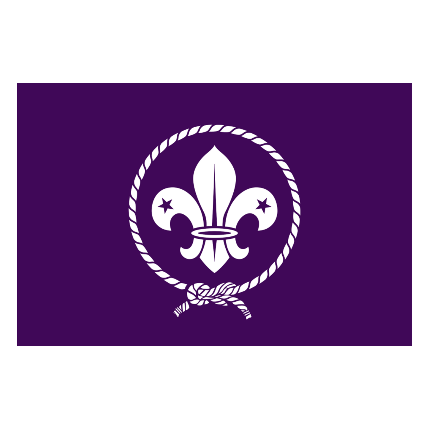 World Scout Flag - 180 x 300cm