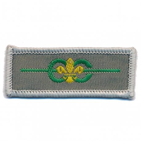Bar to the Award of Merit Cloth Badge