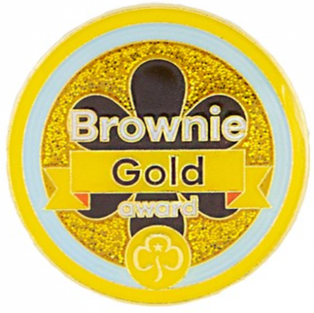 Gold award - Brownies metal badge