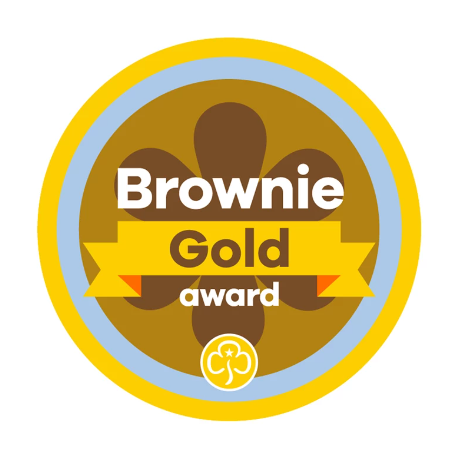 Gold award - Brownies woven badge