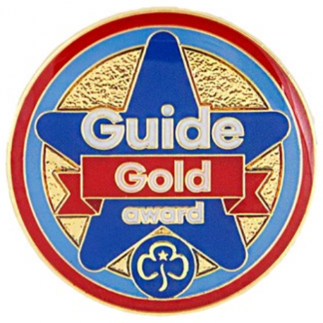 Gold award - Guides metal badge