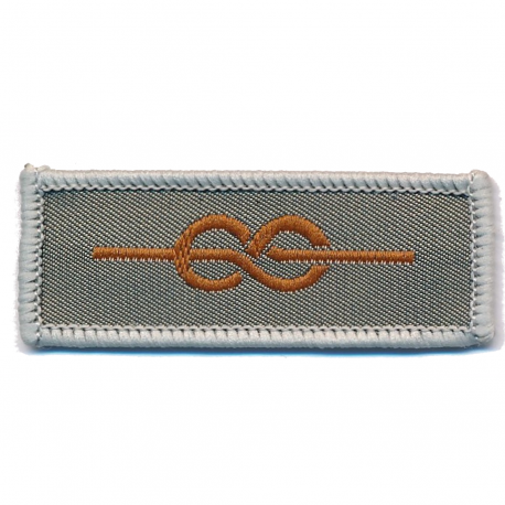 Silver Acorn Cloth Badge