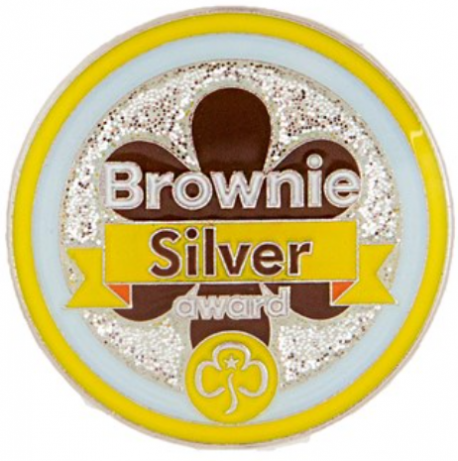 Silver award - Brownies metal badge
