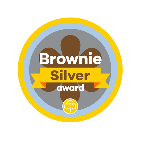 Silver award - Brownies woven badge