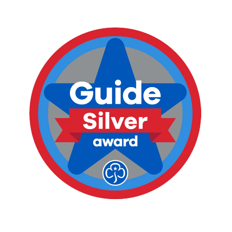 Silver award - Guides woven badge