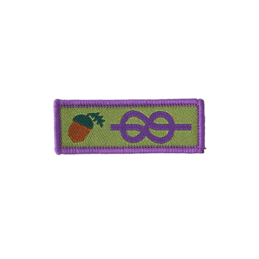 Young leader Adult Recognition badge - Pack 25